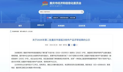 2025年第二批重慶市首版次軟件產品名單公示，引領行業創新與發展